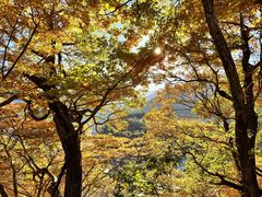 -白川乡与五箇山的合掌构造村落