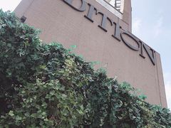 -顶层酒吧ROOF(上海艾迪逊酒店)