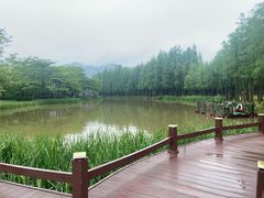 -森波拉奇妙世界