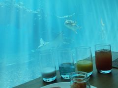 -海棠湾洲际-涛·海底餐厅·美人鱼·自助餐·海底隧道