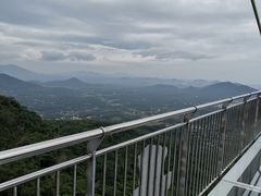 -呀诺达热带雨林