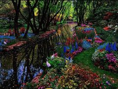 -上海共青森林公园