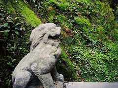 -青竺·青竹茶舍(断桥店)
