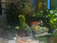 -Thai Basil罗勒叶泰式餐厅(时代天街店)