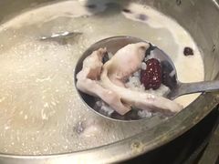 -鸭嘴鱼