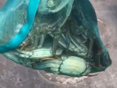 -江杨农产品批发市场