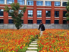 -华东政法大学(松江校区)