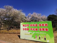 -北京植物园南门售票处