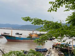 -北岐滩涂