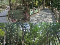 -大围山国家森林公园