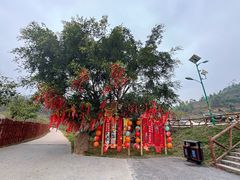 -十万大山布透温泉