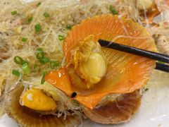 蒜蓉粉丝蒸扇贝-明记海鲜大排档(巽寮湾店)