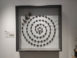 -酷嗒动物文化乐园(cutezoo西溪乐天城店)