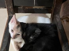 -二中酸辣汤(无锡梁溪区店)