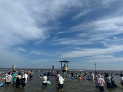 -碧海金沙
