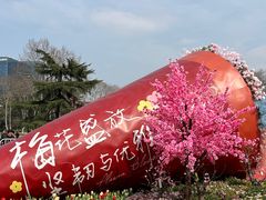 -红梅公园