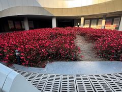 -哈尔滨大剧院