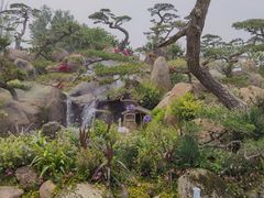 -罗红摄影艺术馆