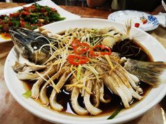 -煲来饱去冷水鱼