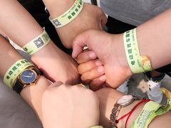 -黄海国家森林公园