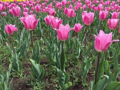 -长春公园(普阳街道)