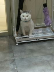 -M Hair造型