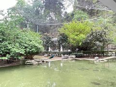 -黔灵山公园
