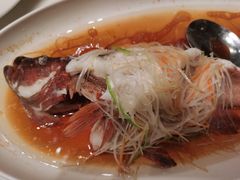 清蒸龙胆鱼-文儒九号·闽菜馆(三坊七巷店)