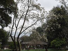 -团城山公园