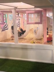 -多多淘儿童体验中心(重庆来福士店)