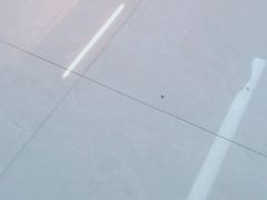 -紫马岭游泳馆