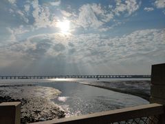 景点-宝安西湾红树林湿地公园