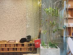 -Infica Coffee