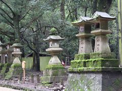 -奈良公园