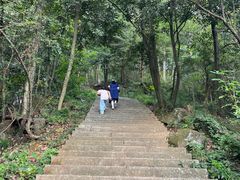 -中国花亭湖风景名胜区-西风禅寺
