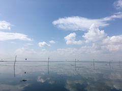 -乌梁素海景区