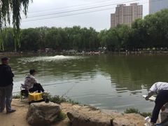 -青城公园
