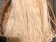 -佰迪乐KTV·大屏K歌(公园店)