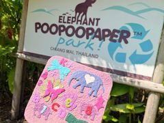 -大象粑粑造纸公园