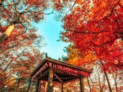 -光雾山旅游景区