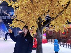 -宁波冰雪大世界(北仑区)