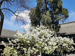 -保定直隶总督署博物馆