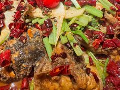 -老板恋上鱼(恒隆广场店)