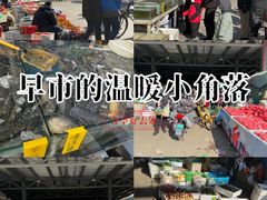 -何庄子阿米玛玛农产品批发市场
