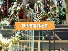 -趣陶陶艺手工坊(新世界百货重庆店)
