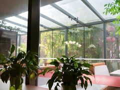 -唐猫庭院·千年陕菜(大唐不夜城店)