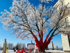 -亚布力新体委滑雪场