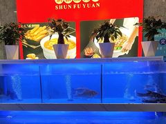 -顺福苑·新派淮扬菜