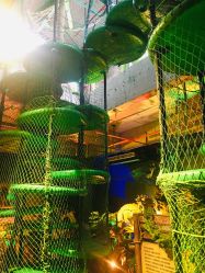 -恐龙探索乐园(磁器口店)