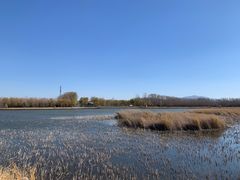-野鸭湖国家湿地公园